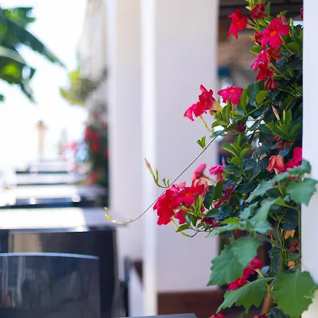Hotel Royal Blue Dhërmi