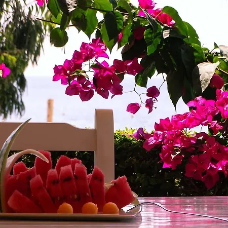 Royal Blue 4* Dhërmi